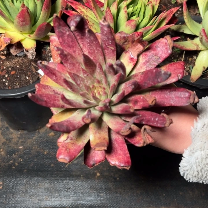 110哈哈哈哈哈哈哈哈哈