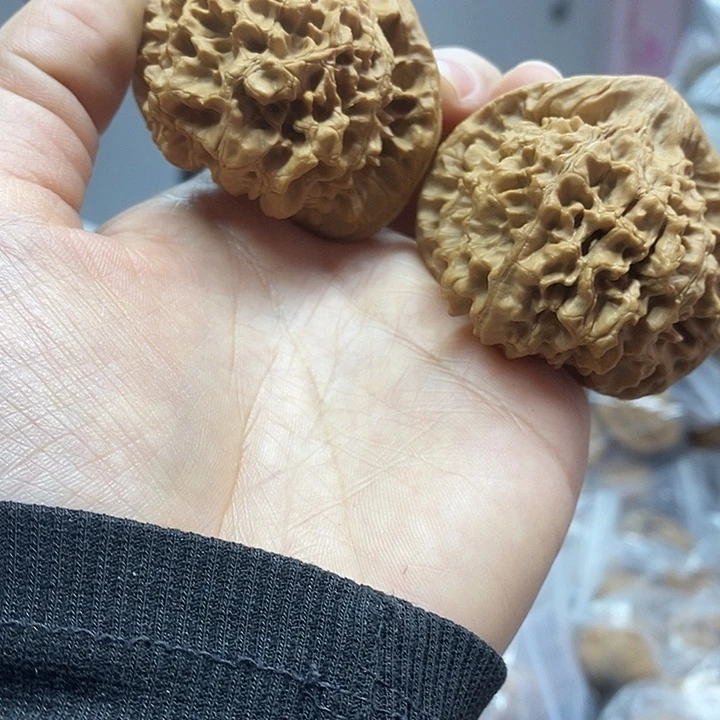 把件文玩核桃51官帽老树