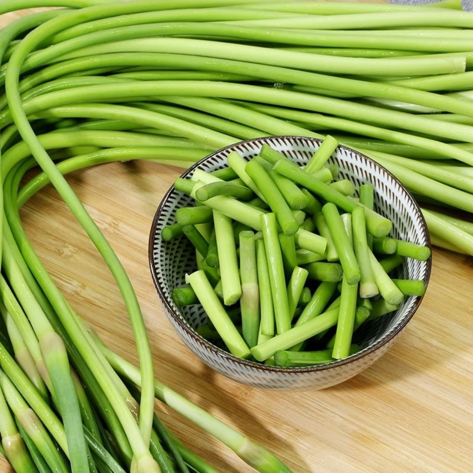 新鲜蒜苔今年刚上市湖北露天蒜苔新鲜农家自种自然生长时令蔬菜