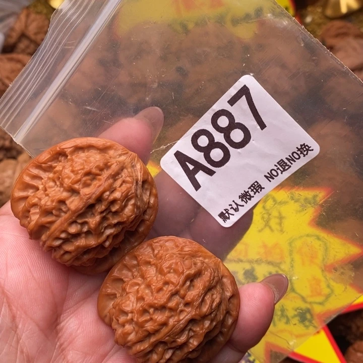 血麒麟37加887号123