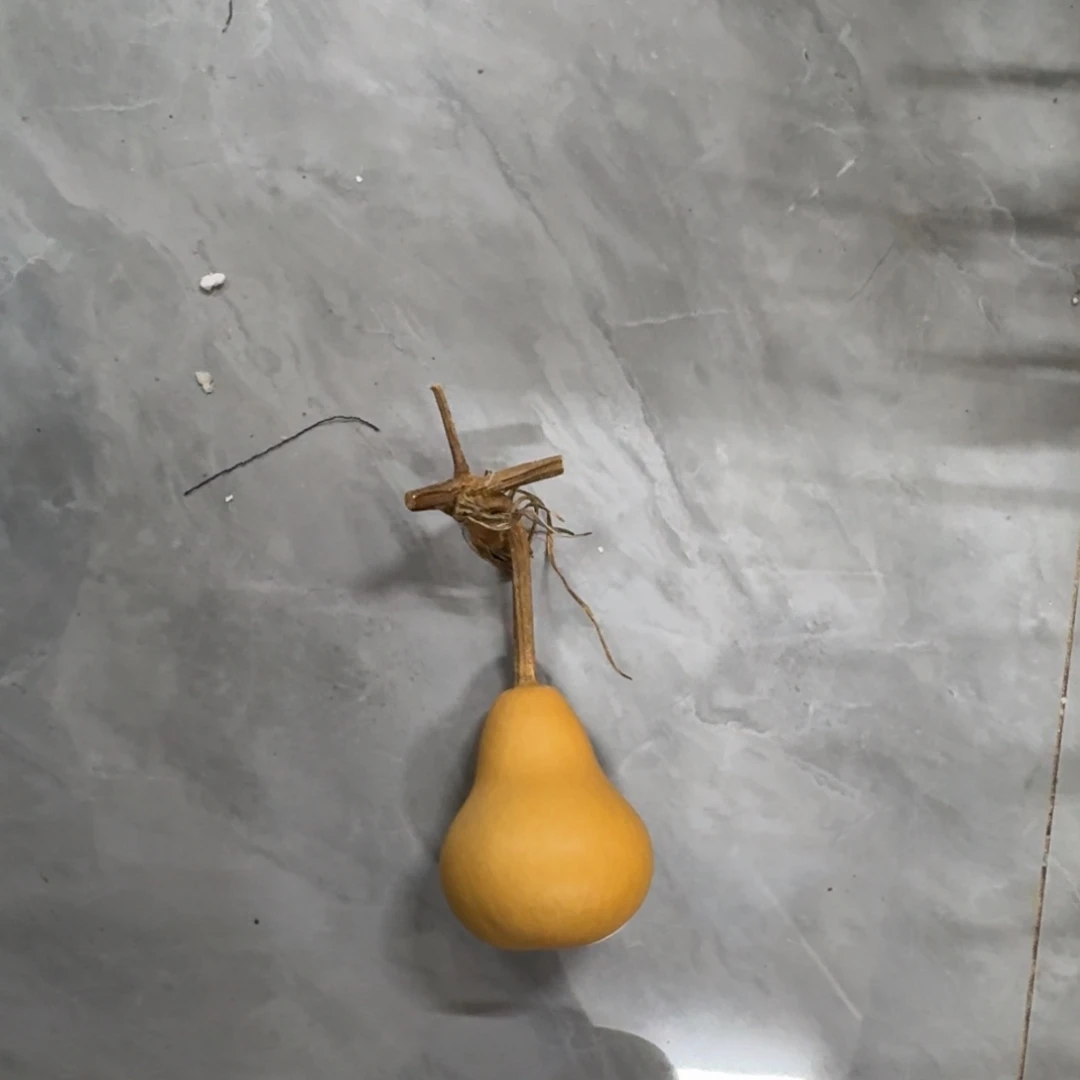 精品粗嘴葫芦系列