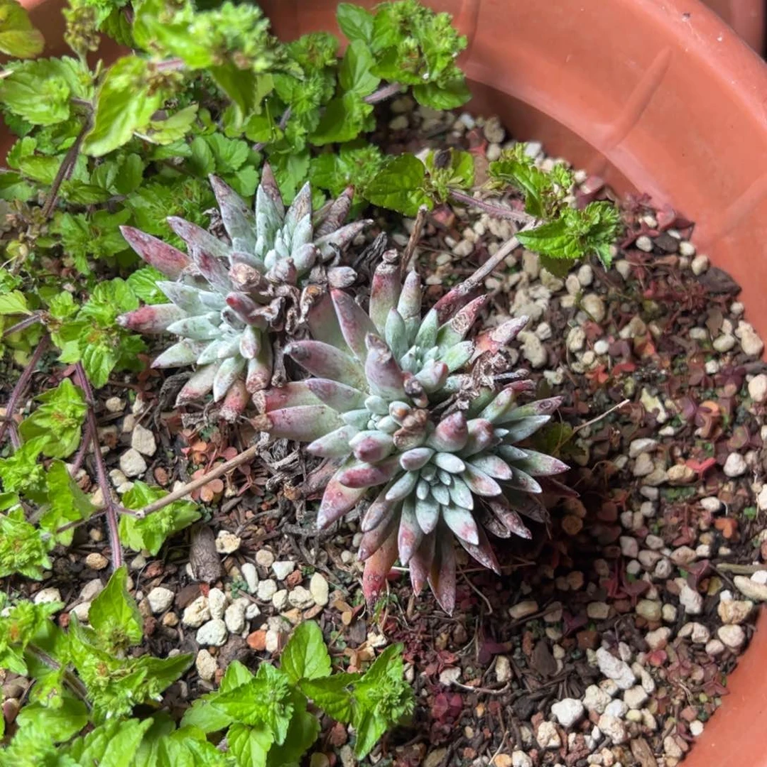 4331哈哈哈哈哈哈哈哈哈