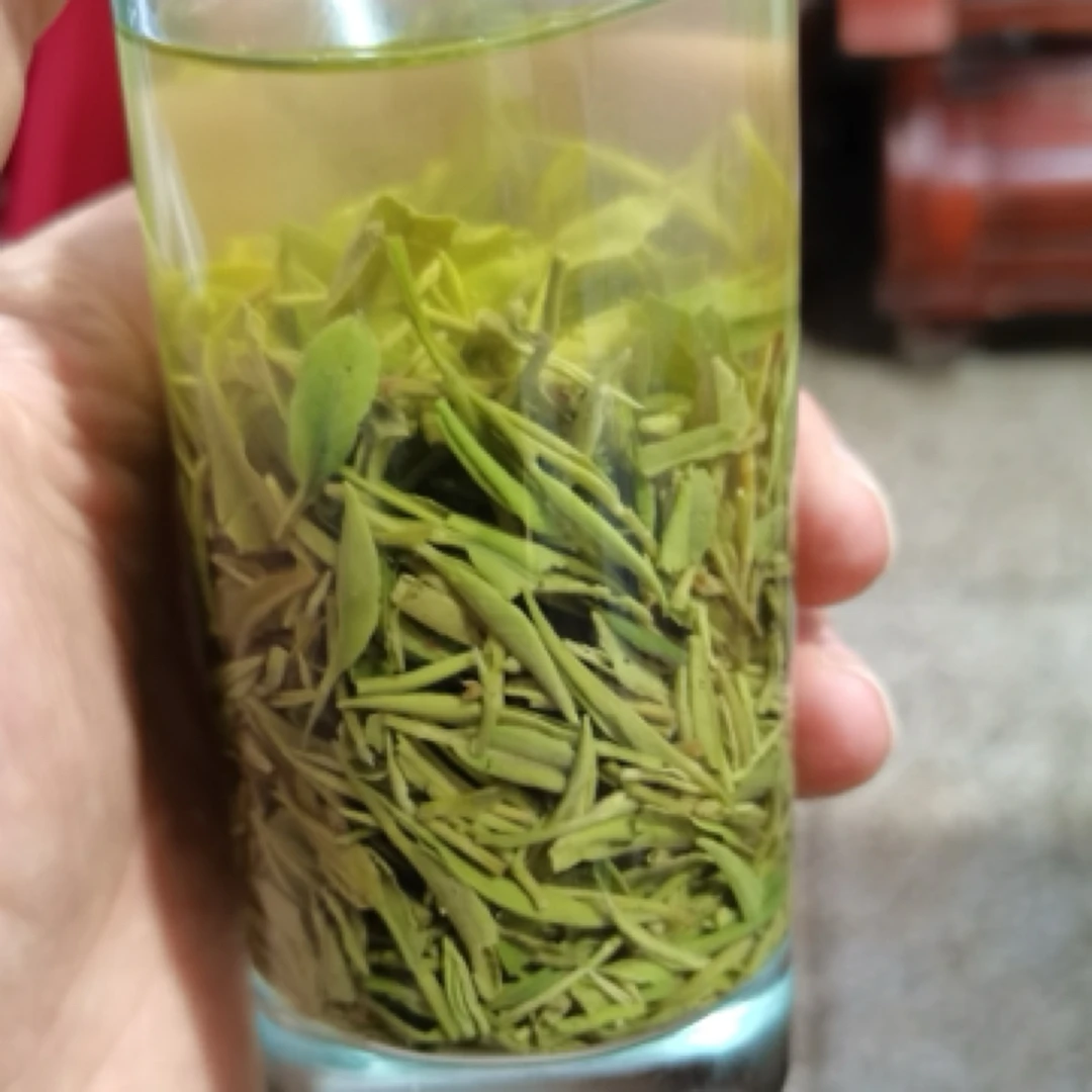 信阳毛尖白龙潭名山茶雨前手工浓香耐泡原味生活茶回甘生津