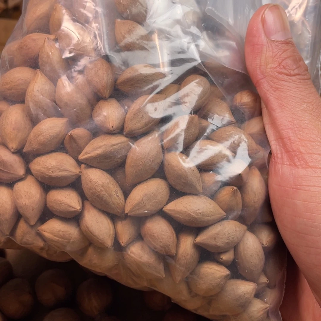 @***安手串/手链橄榄核1.2尺寸16颗