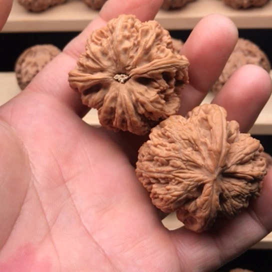 ****文玩核桃吊坠粗筋