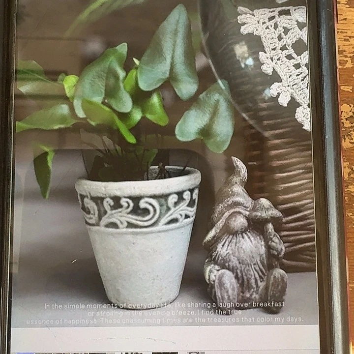许纯的花房 福利小盆