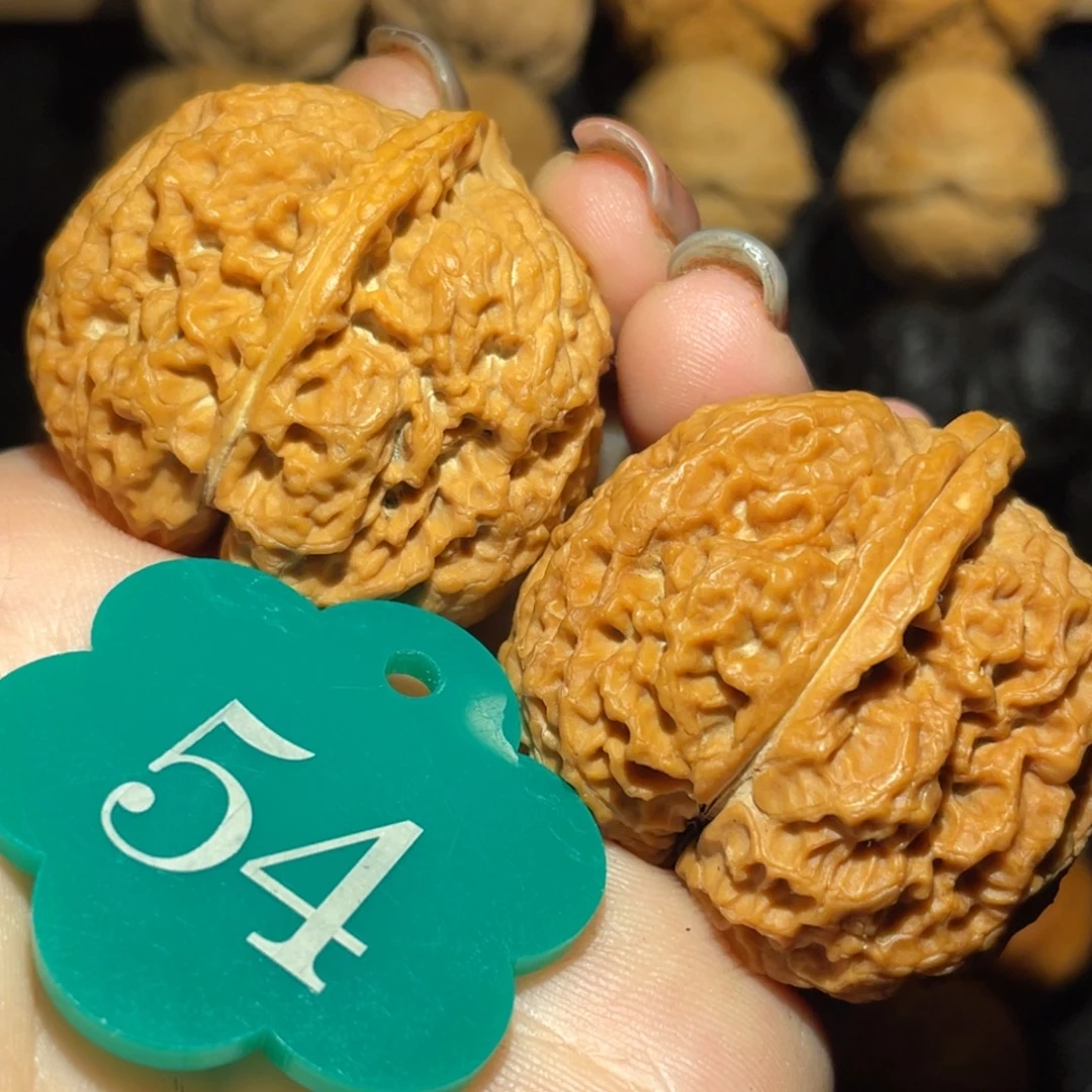 唐狮金蟾38尺寸核桃