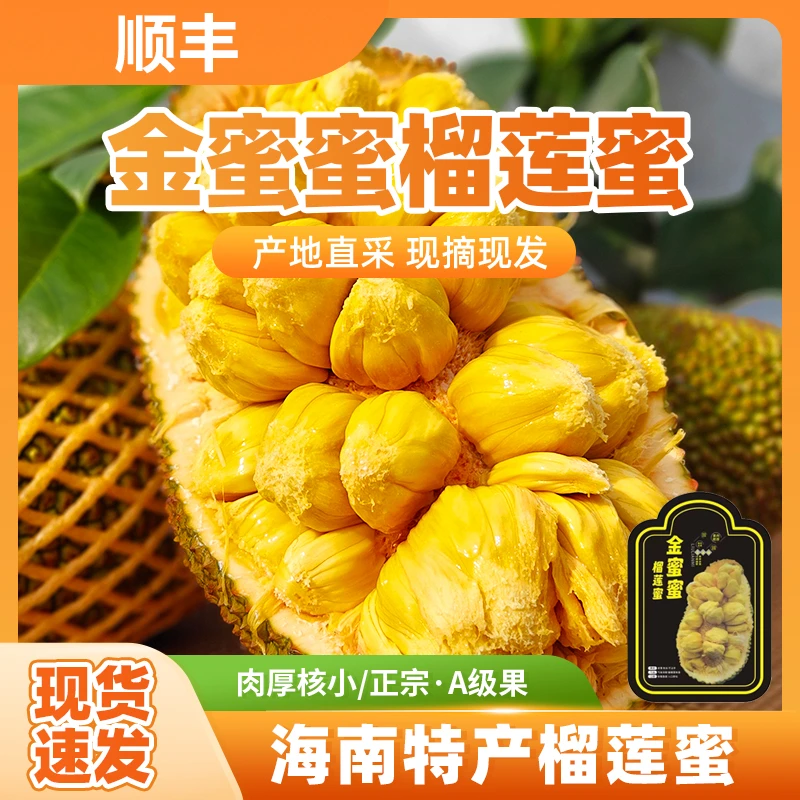 海南榴莲蜜热带水果产地直发软糯香甜孕妇水果新鲜采摘顺丰包邮l