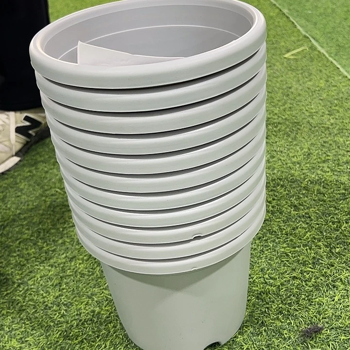 微瑕3号四季口21高18灰色无托11只