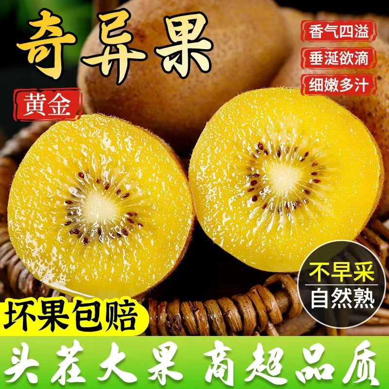 黄心猕猴桃新鲜无毛水果现发香甜多汁奇异果一件代发产地