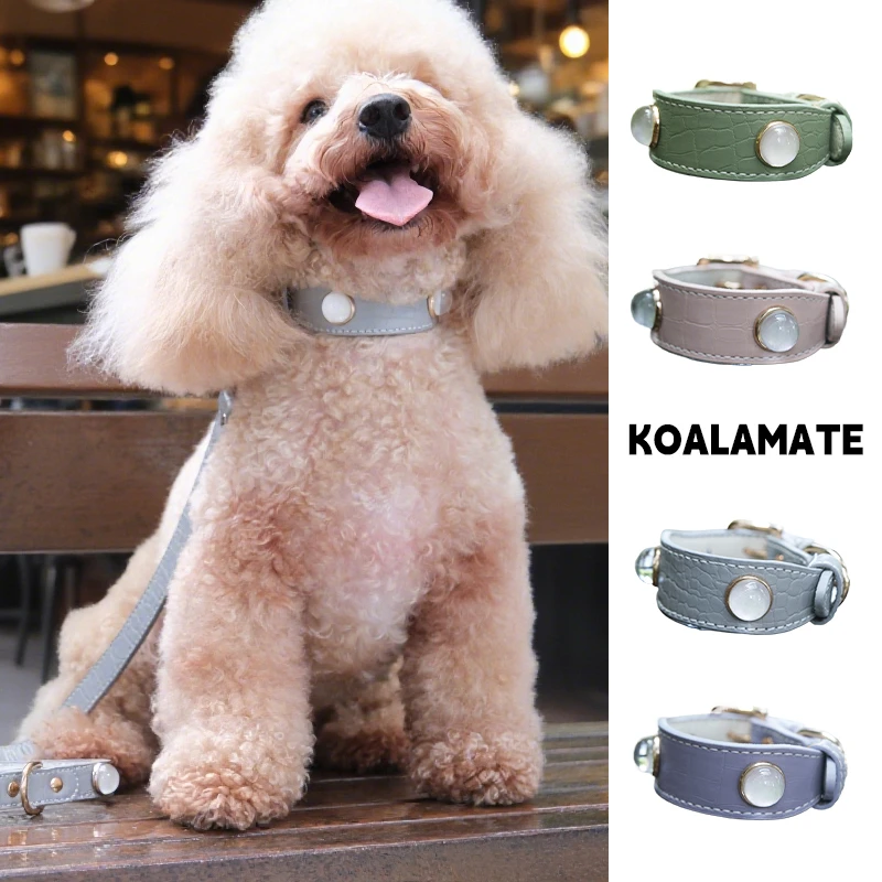 koalamate考拉伙伴宠物项圈狗狗猫咪项圈牵引绳中小型犬水晶