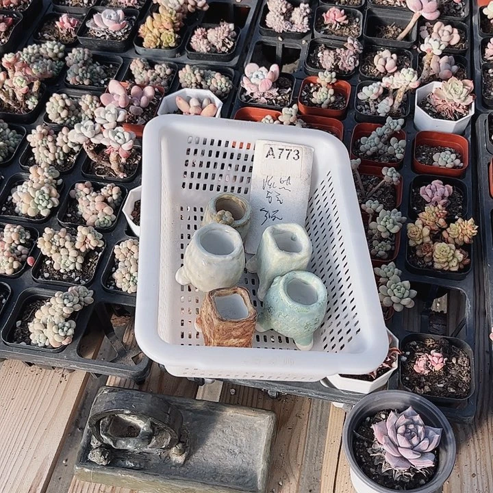 美****光773密密麻麻密密麻麻