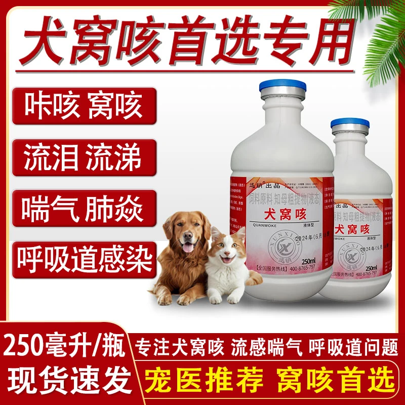 犬猫宠物窝咳咔咳支原体呼吸道感染流感喘气发热流泪流涕饲料原料