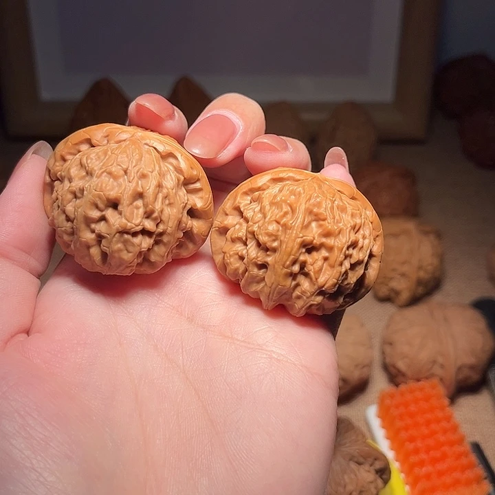 核桃微修。白狮子。