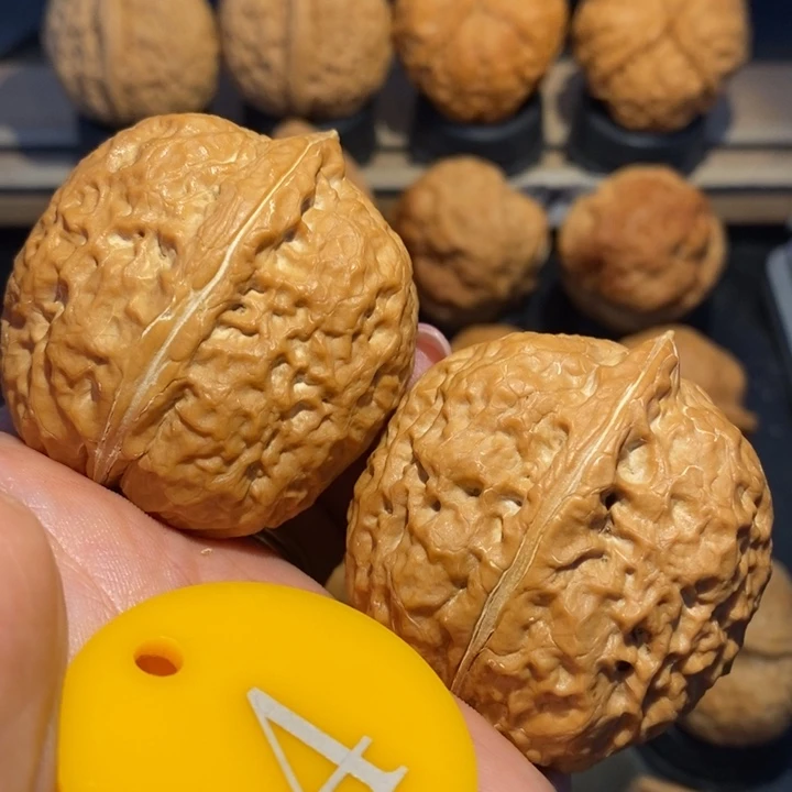 霸王龙核桃尺寸43