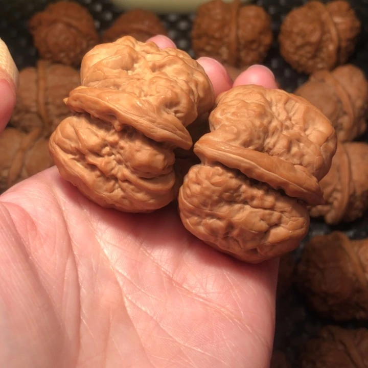 文玩核桃把件八蹬腿，粗棱，全品42