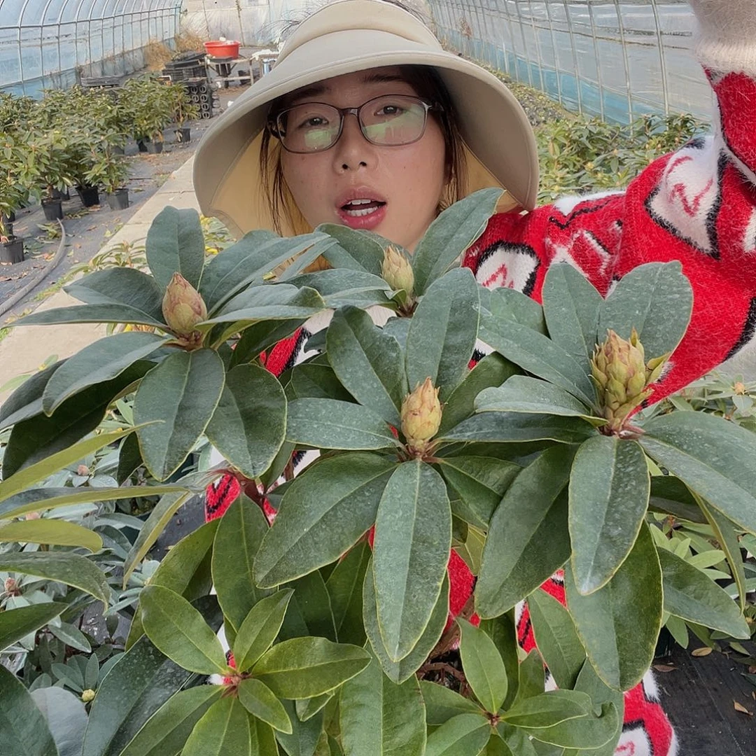 无花朵王子一加仑