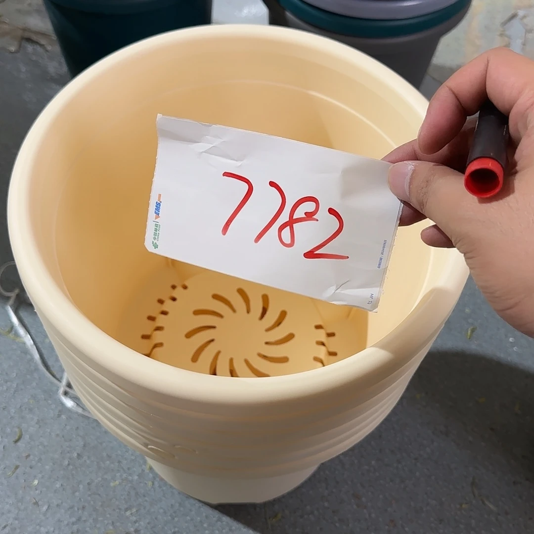 编号7782，5号无托