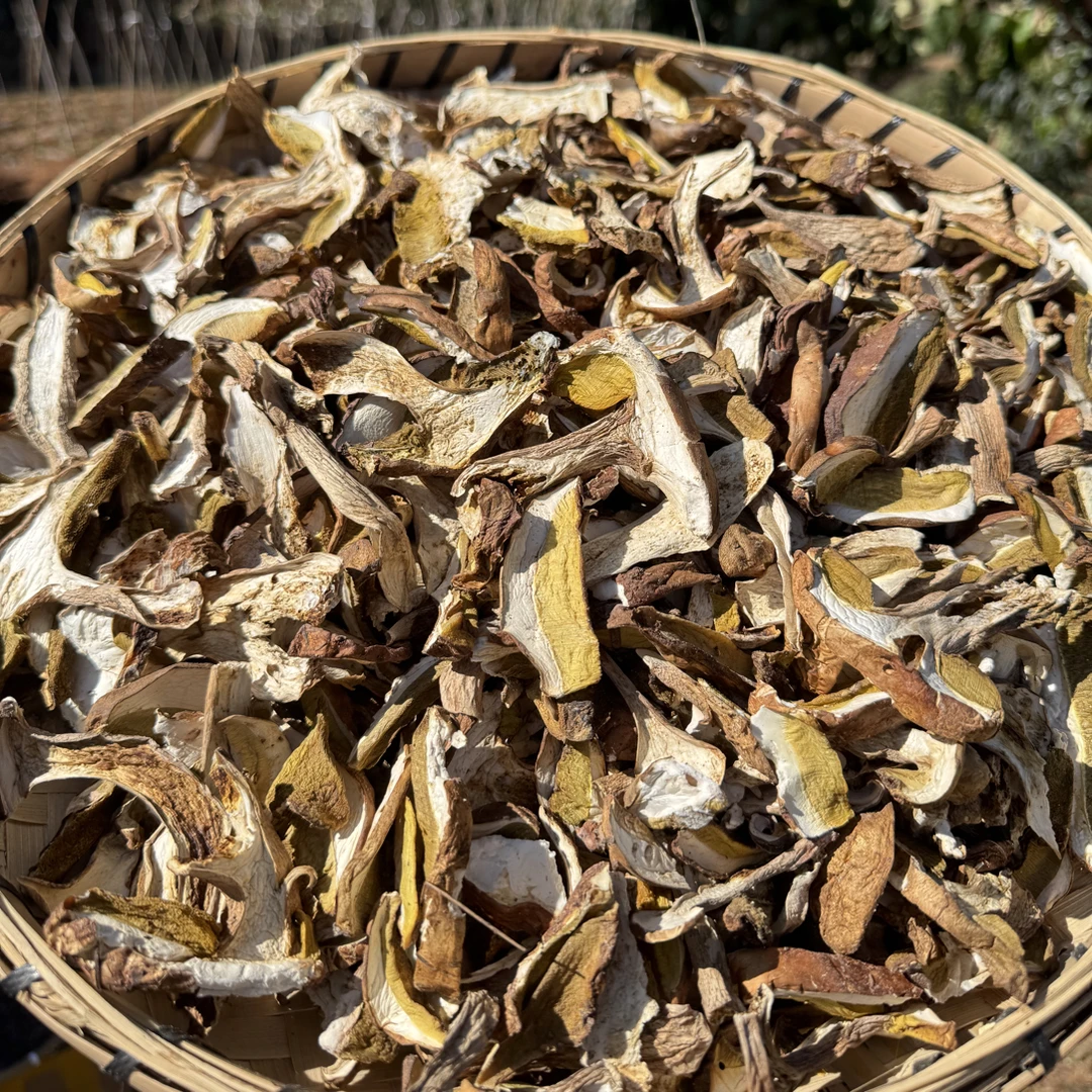 【小刚代收】云南美味牛肝菌