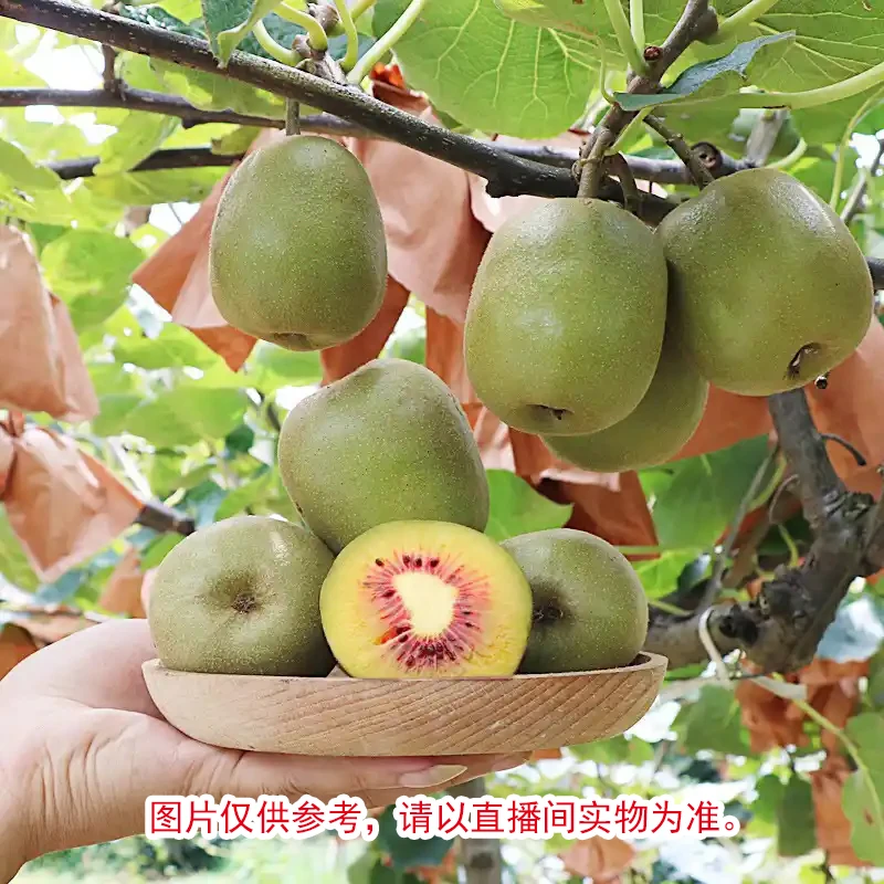 湘西赶集代购红心/绿心猕猴桃