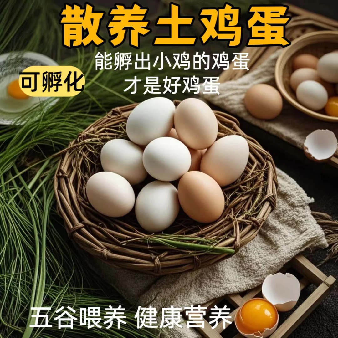 【粉壳】农家散养受精可孵化土鸡蛋 让真正的土鸡蛋走出乡村