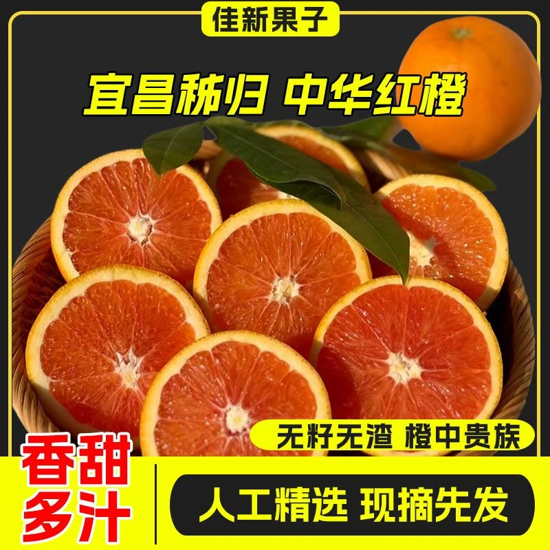 正宗湖北秭归三峡中华红橙新鲜应季水果现摘现发香甜多汁鲜果发货