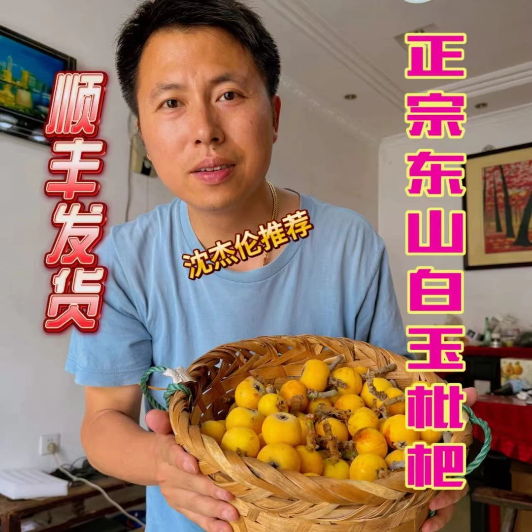 【96颗中小果】正宗苏州东山白玉枇杷中小果