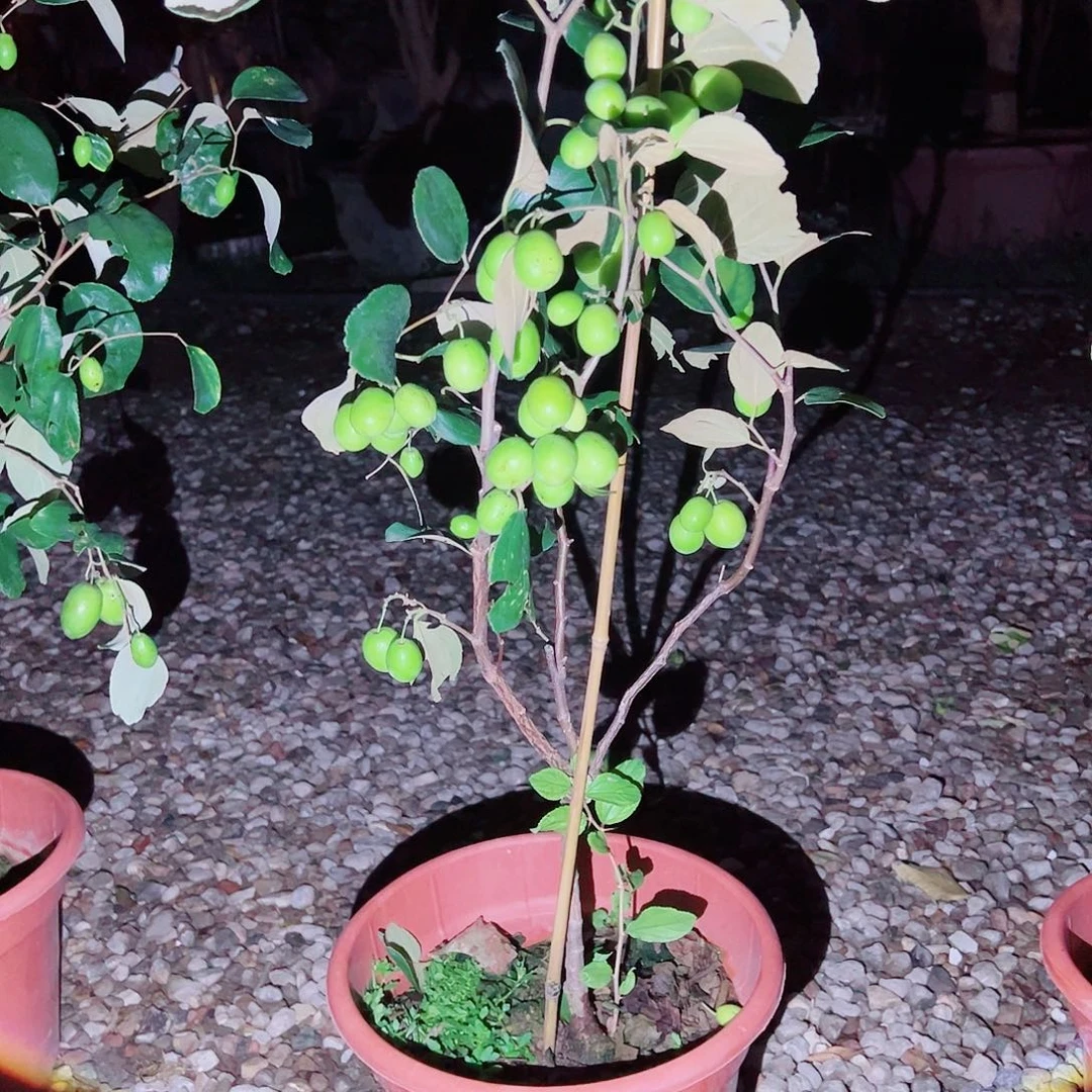 辉***哥完全开放22222222222222