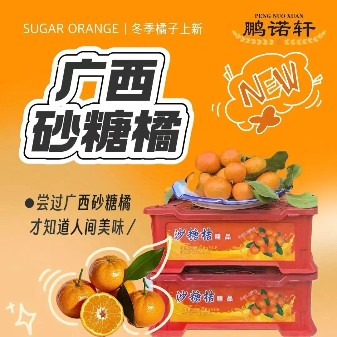正宗当季新鲜广西砂糖桔柑橘皮薄果肉细嫩甜度高入口化渣孕妈