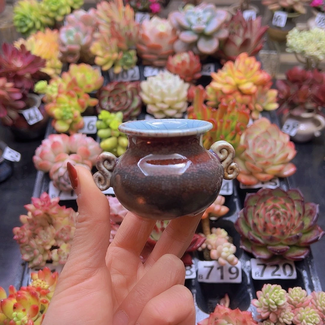 无铅玻璃丹**画花钱花钱花钱花钱