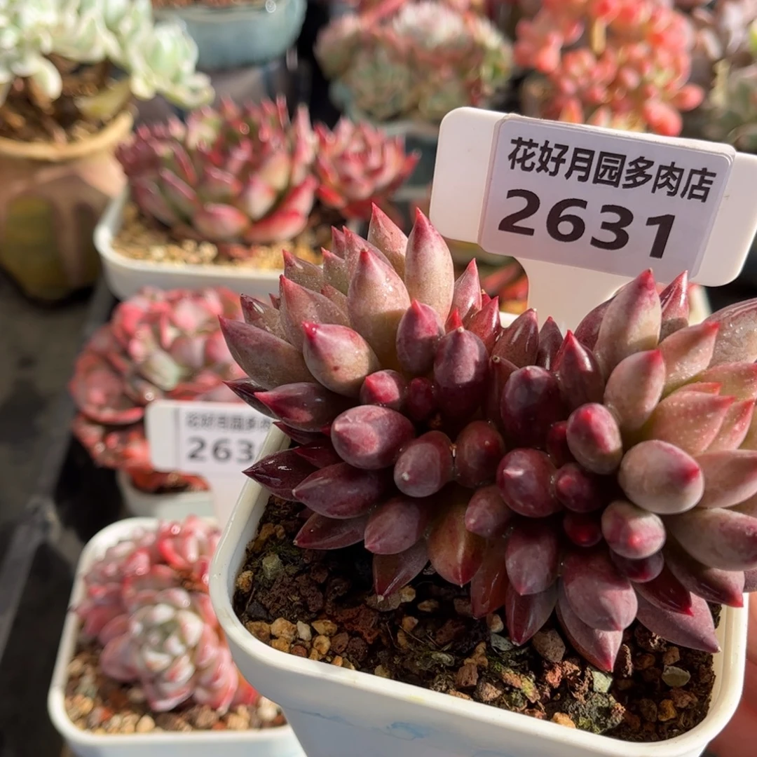 2632 满30包邮天冷地区必拍保温箱