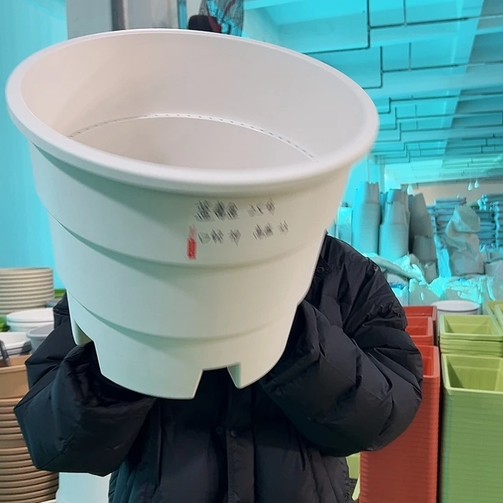 正品蓝莓口39高33白色无托3只