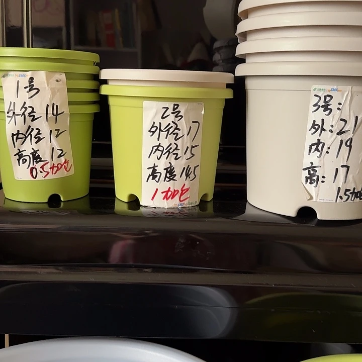 灰白色2号口径17高14.5无托10个
