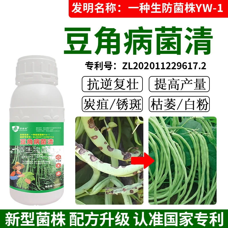豆角专利生防菌技术配方豆角病菌清豆角炭疽锈斑黄叶微生物菌剂