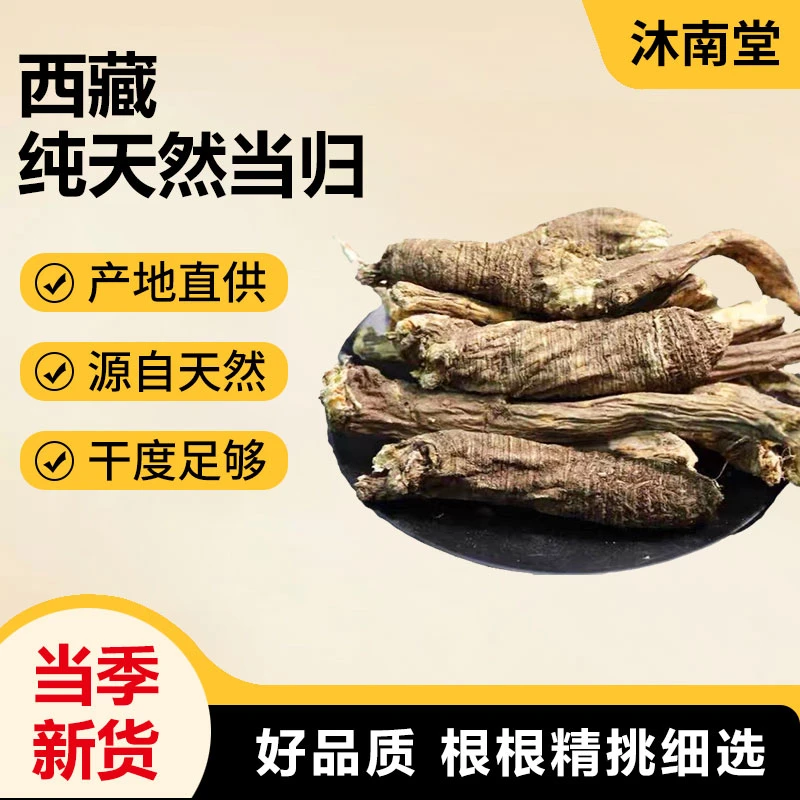 西藏当归纯天然无污染干货散装