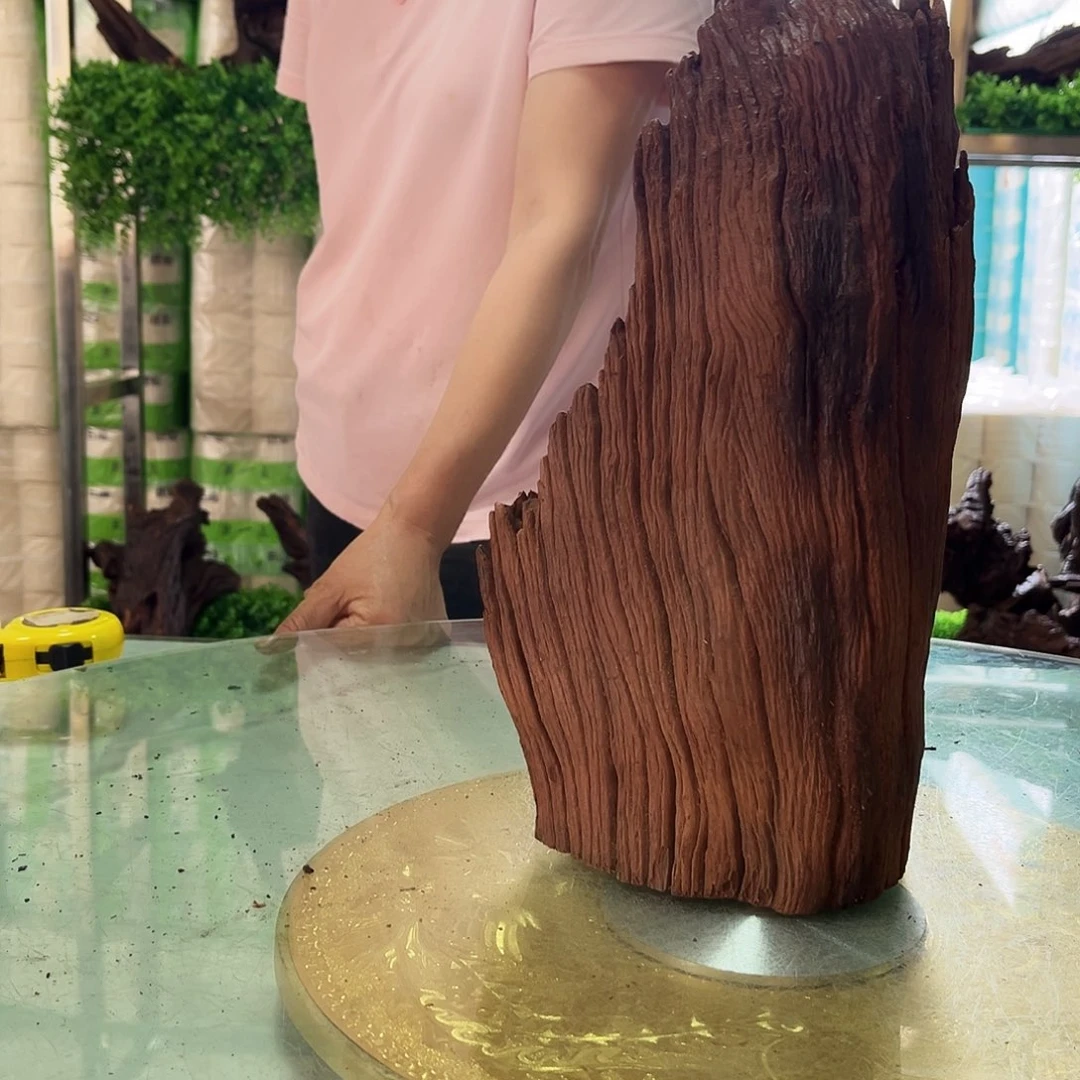 香榧木沉木鱼缸造景