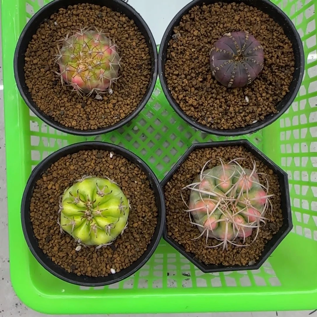 在***.11111111111111111