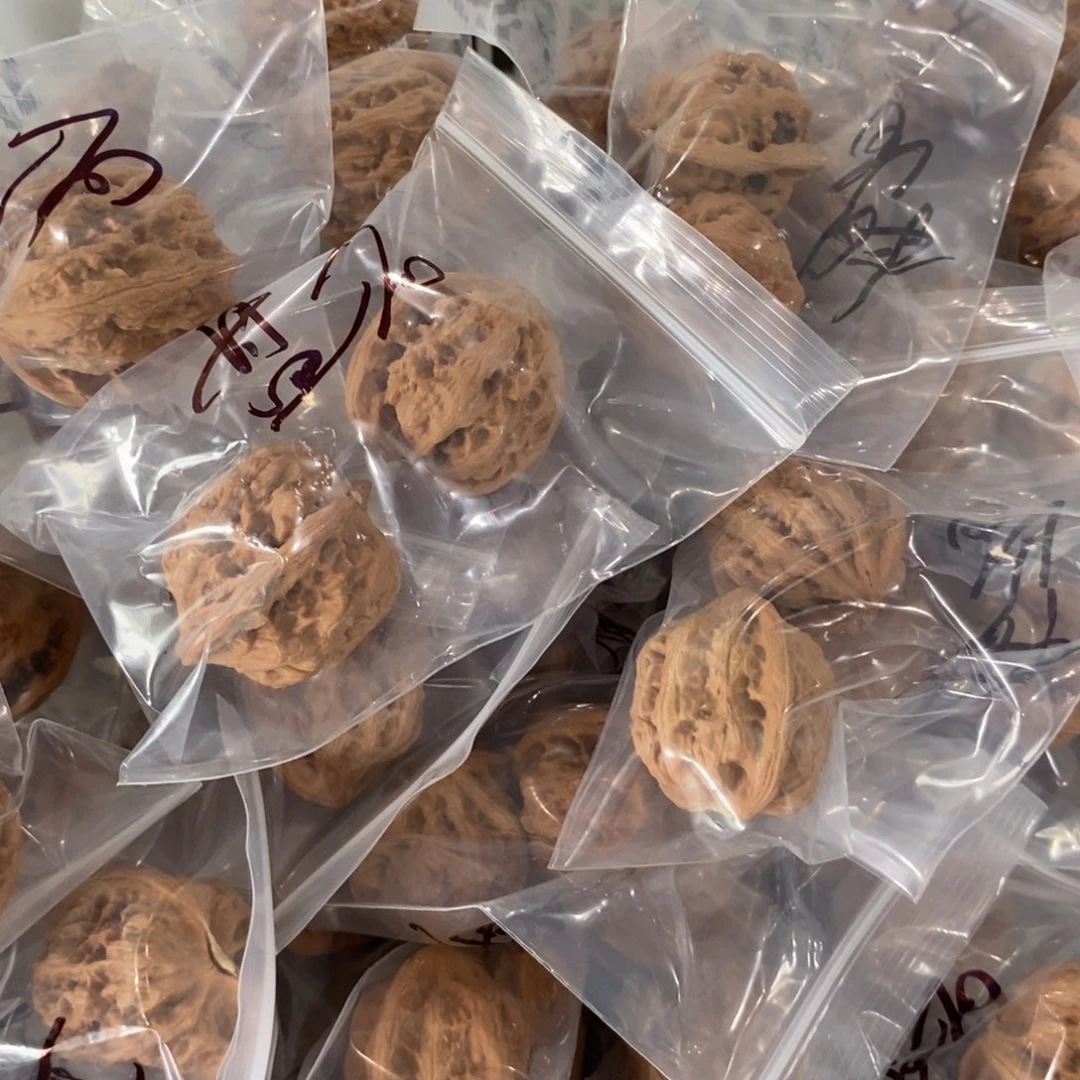 文玩核桃吊坠磐石