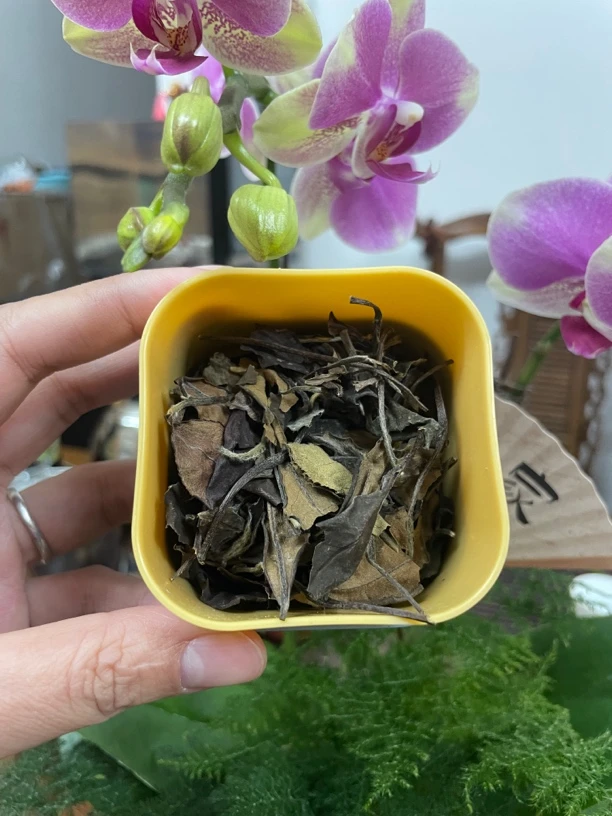 老寿眉福鼎白茶2018年老白茶品鉴装