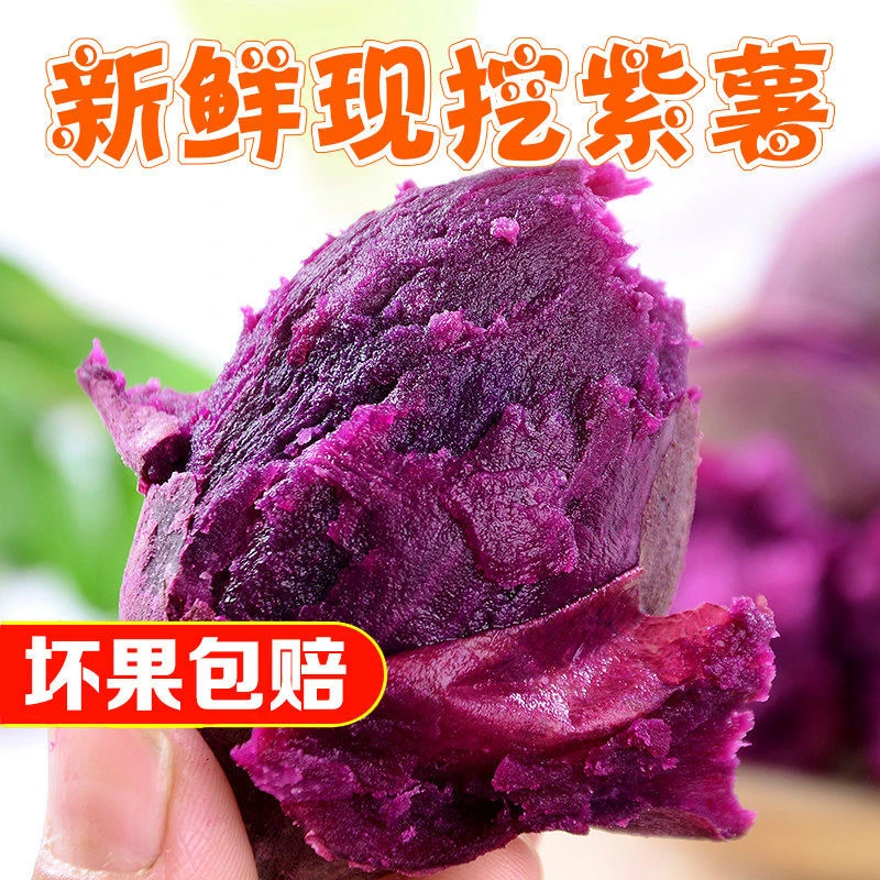 【精品大果】农村新鲜沙地紫罗兰紫薯粉糯香甜粗粮代餐健康