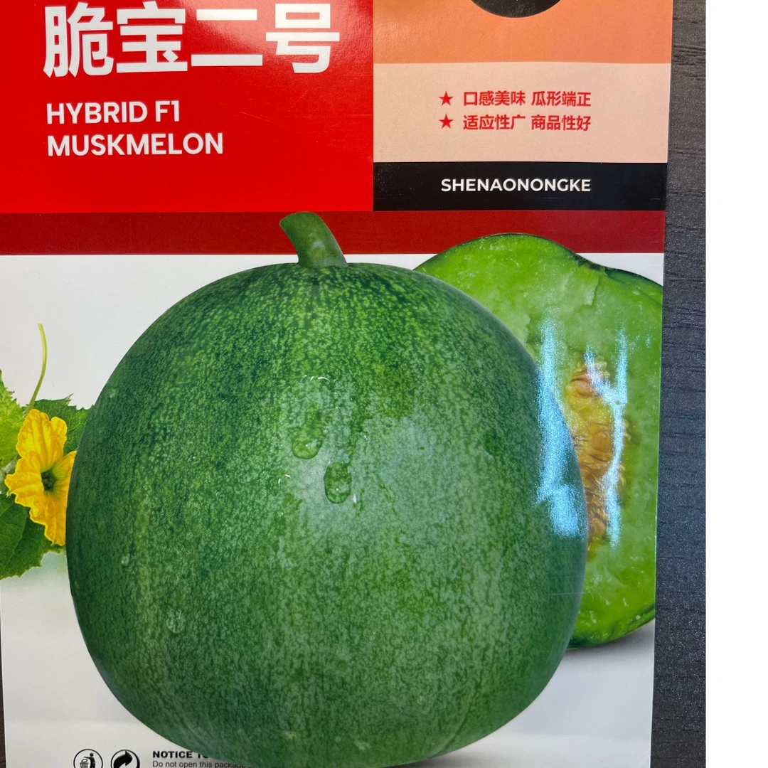 神奥脆宝二号 种子绿皮 绿肉 绿瓤 皮薄 而韧 早熟脆甜多汁耐贮运