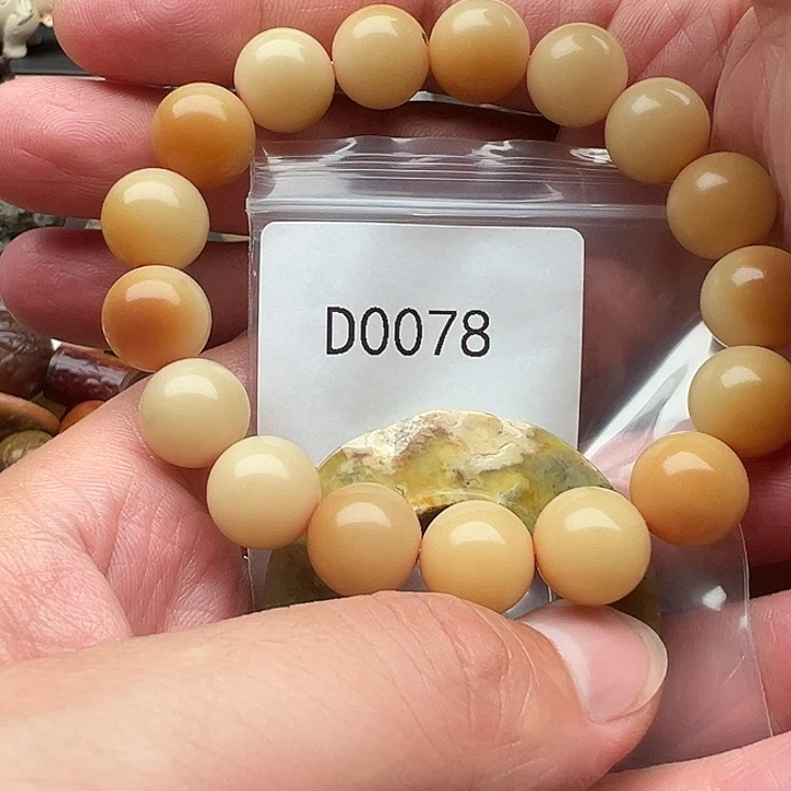 手串菩提根/象牙果