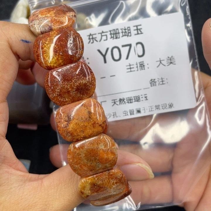 禅***语硅化珊瑚（珊瑚玉）合金颈饰