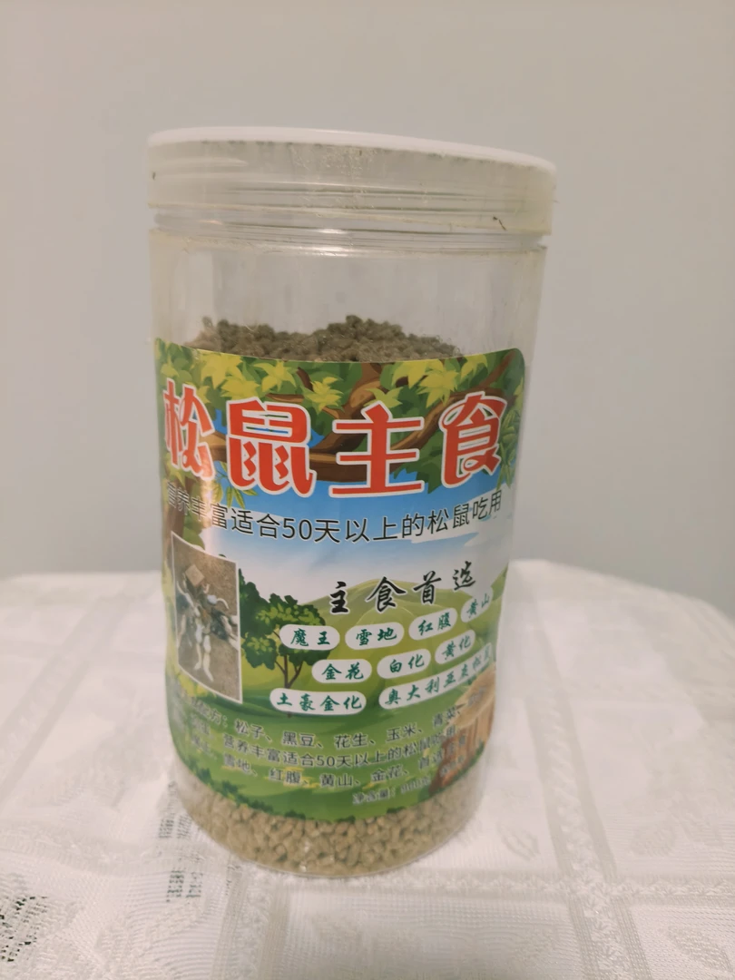 金花红腹魔王雪地松鼠主食