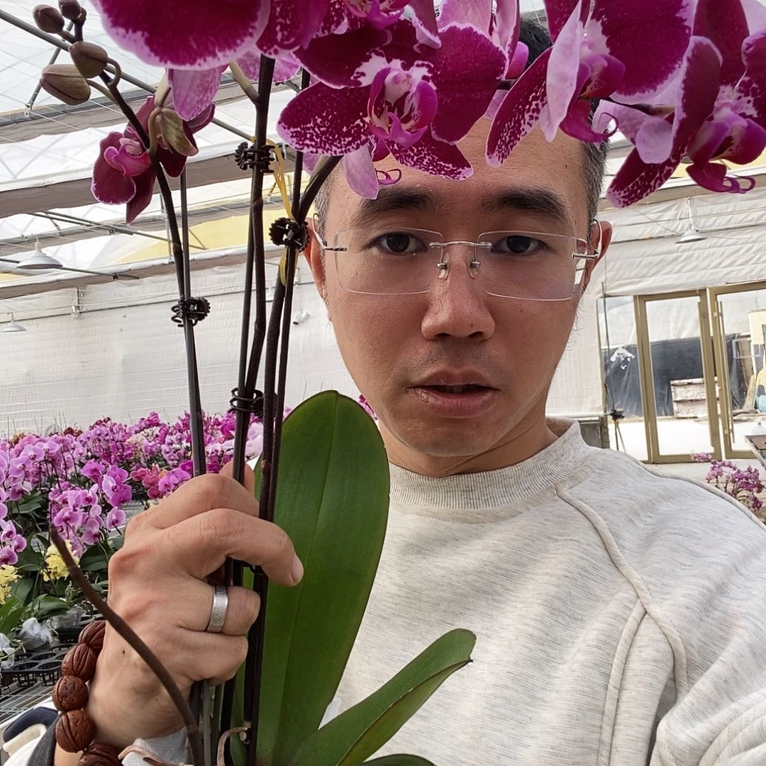 十***墩完全开放黑红色系组合
