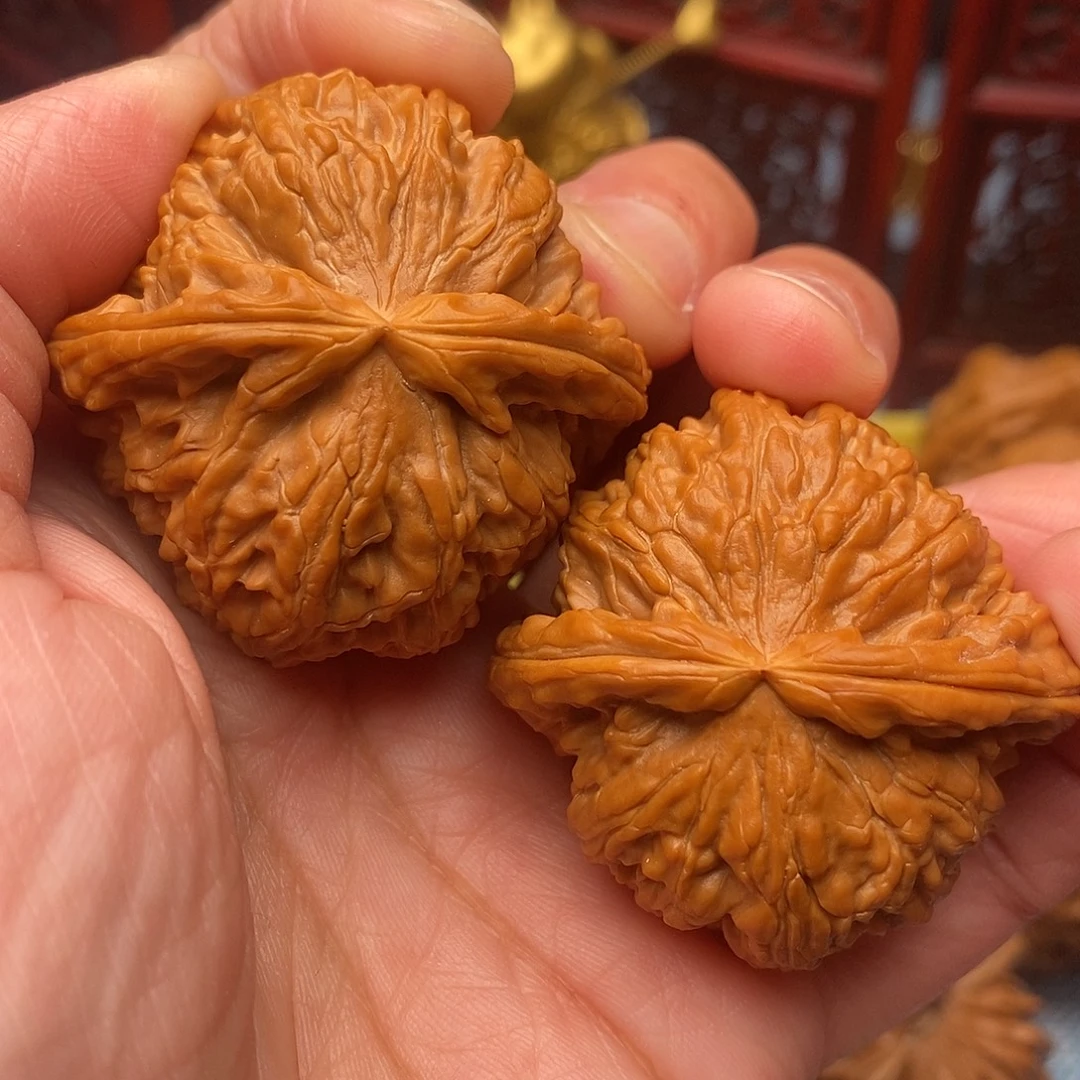 把件文玩核桃毕业肉球白狮子42尺