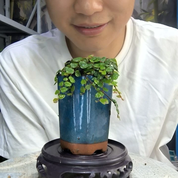 无花朵?****️中青园艺58