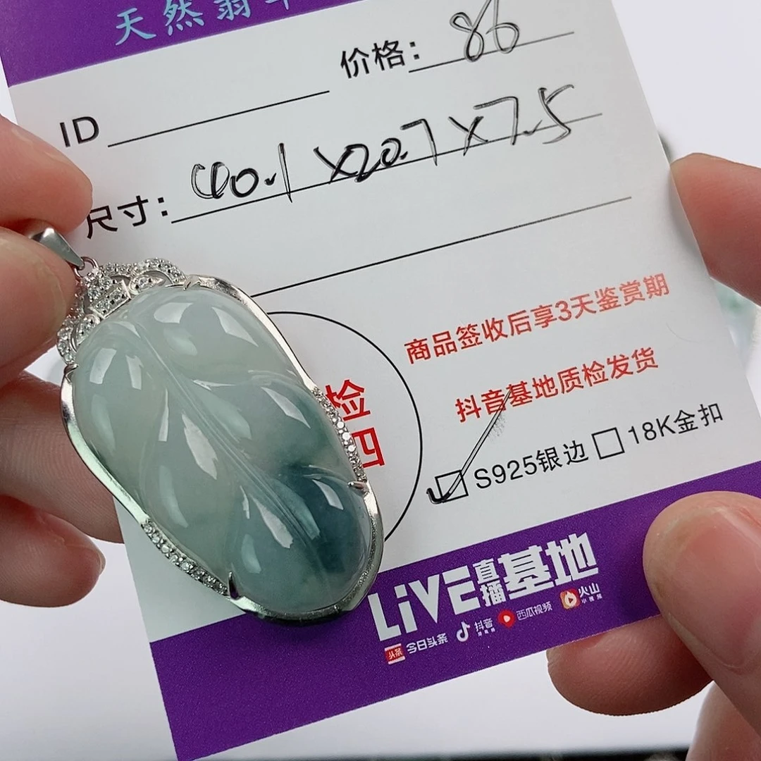 翡翠银S925镶嵌颈饰翡翠