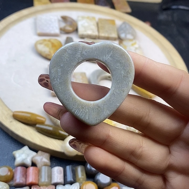 硅化珊瑚（珊瑚玉）未镶嵌颈饰17