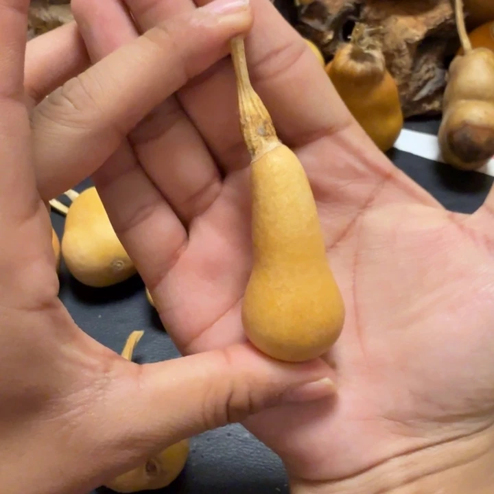 我***个88……………………………………